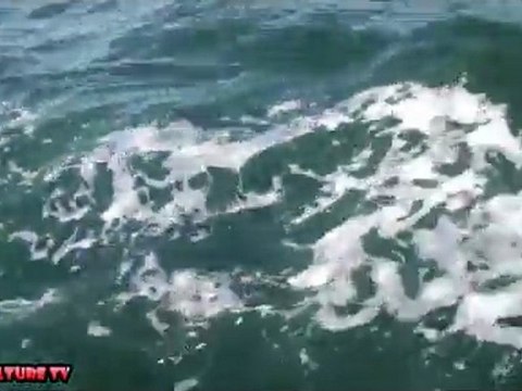 El Mar menor lleno de medusas