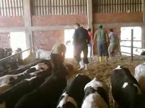 HAZER EMLAK TEL: 0546 851 6657 SATILIK ŞAROLE