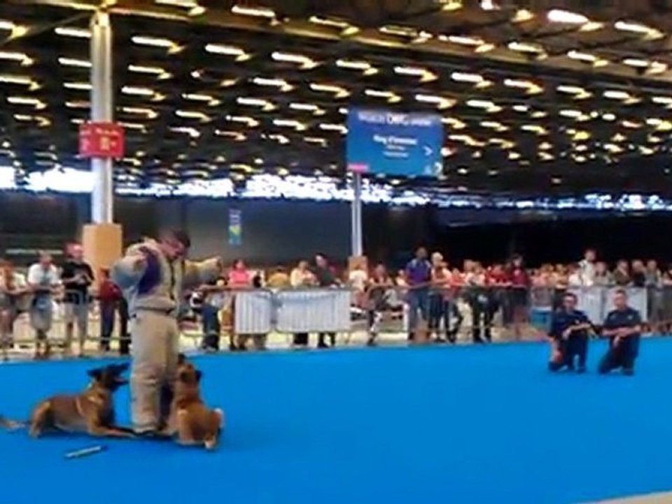 VIDEO0021