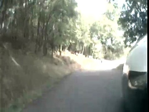 course cote de panissieres 2011 1er montée