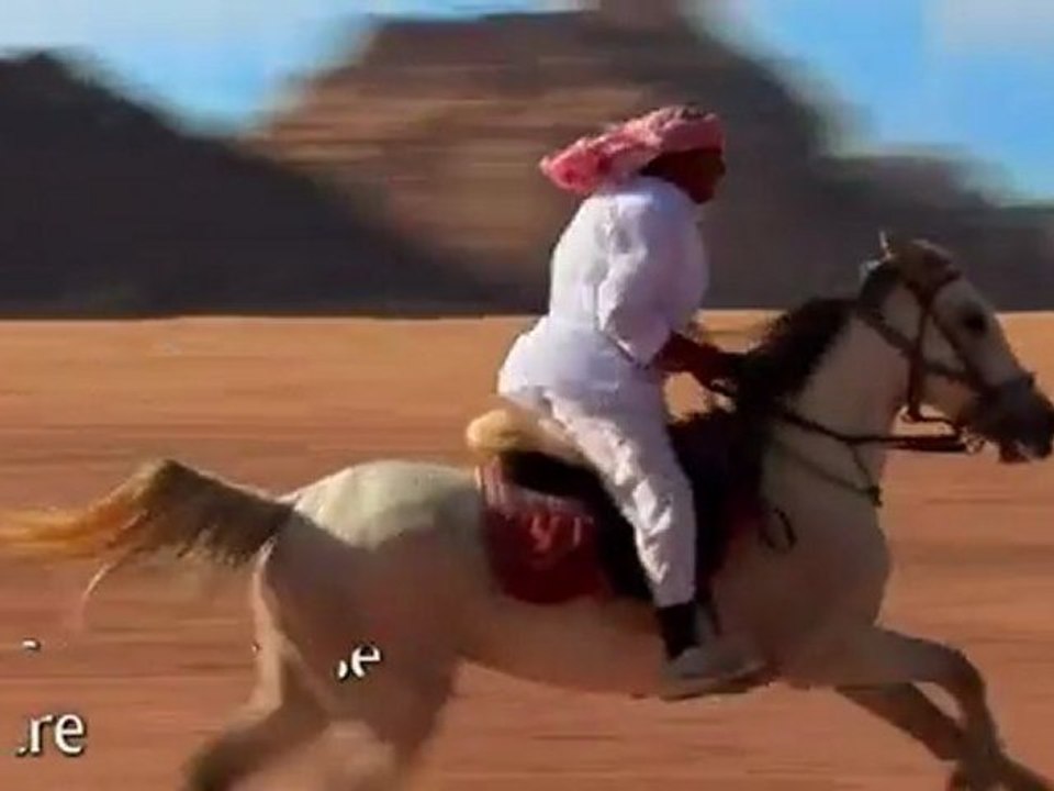 Uncharted 3 - Chasseur de Trésor