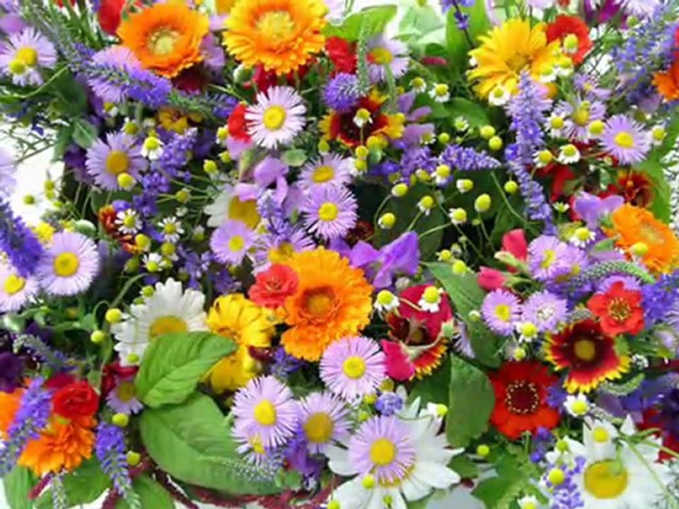 Ой заграли музики (Oh musicians played) - Ukrainian folk song by "Dzhazova fira"