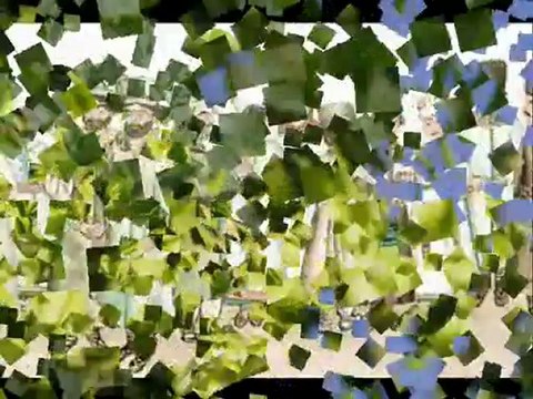 Ой хмелю ж, мій хмелю (Oh hop, my hop) - Ukrainian folk song by Serhij Stepaniv