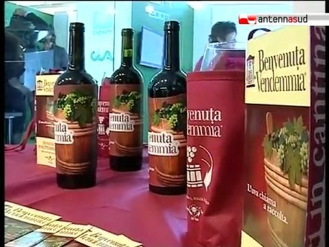 TG 13.09.10 Benvenuta Vendemmia , cantine aperte anche in Puglia