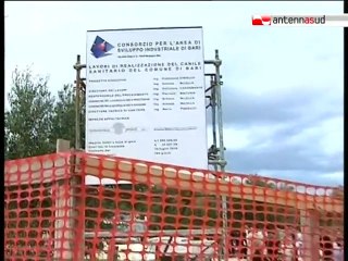 TG 27.09.10 Presto Bari avrà un canile sanitario