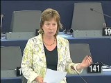 Diana Wallis on Annual report on monitoring the application of EU law