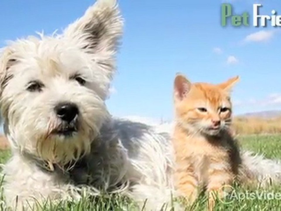 Cambridge Park Apartments in Sacramento, CA - ForRent.com