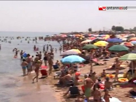 TG 23.08.11 Assennato: Attenti all'alga tossica, soprattutto sugli scogli