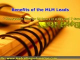 A Review of Surveyed MLM leads from BSP Advertising