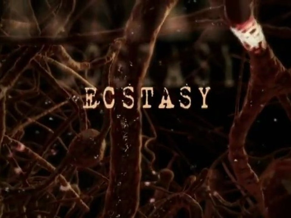 How Drugs Work, Ecstasy