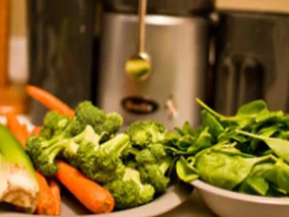 Breville JE900 Juice Fountain Professional Juice Extractor