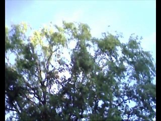 chemtrail villeneuve d'ascq nord