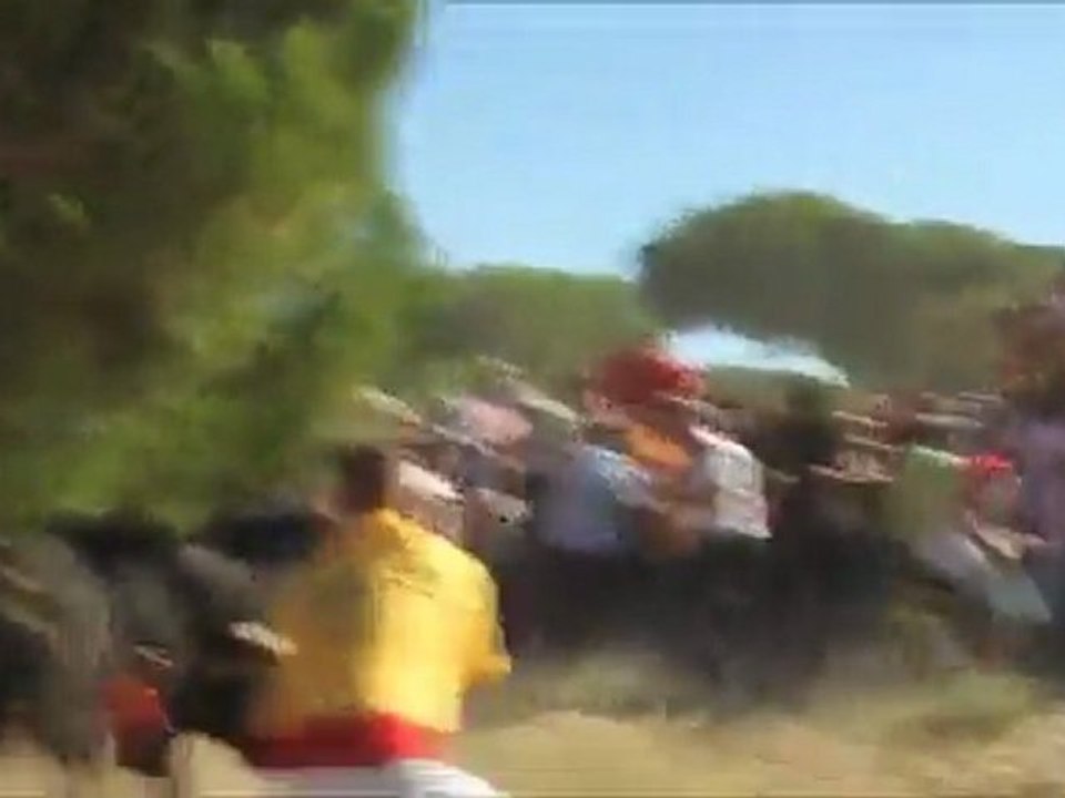 El Toro de la Vega in Tordesillas Spain absurd show.