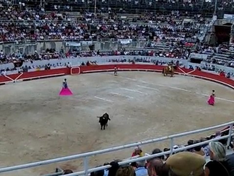 Corrida concours : Cebada Gago