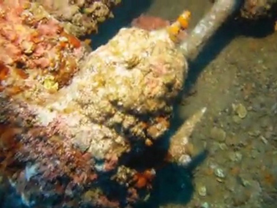 plongee cavalaire epave togo deep CCR Tartiflette Team