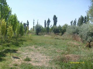 Köşektaş Çeşmelerinde Serinlemek