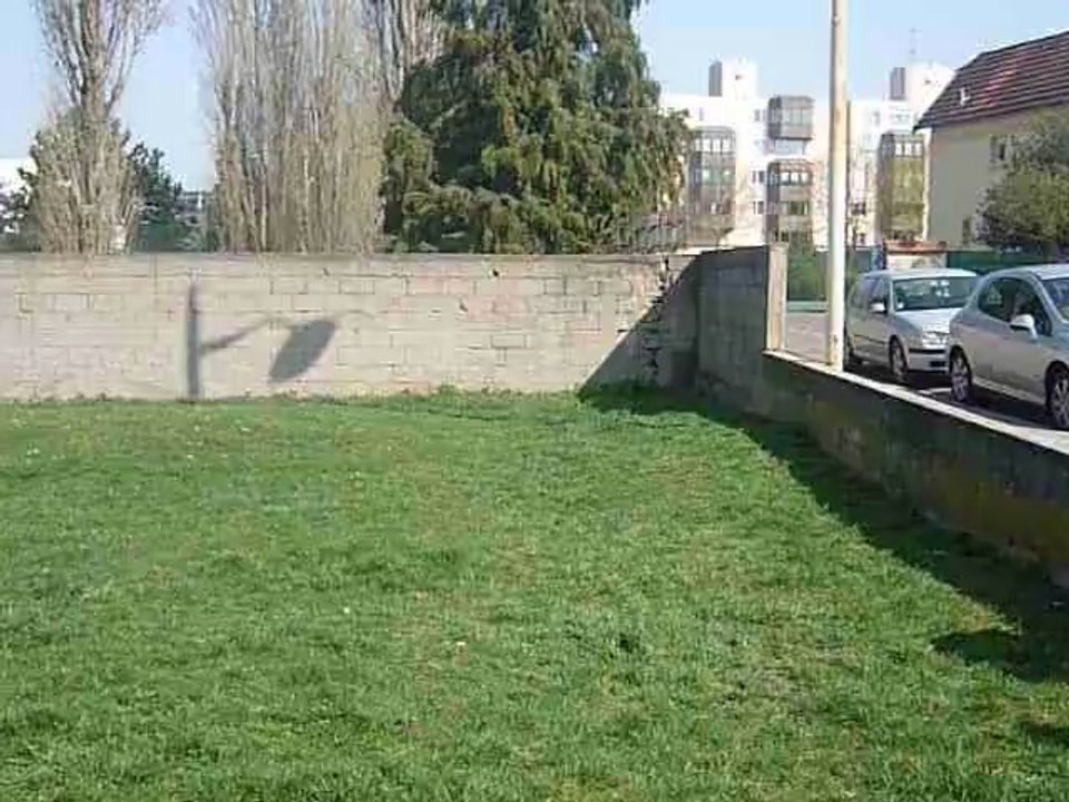 P1010489
