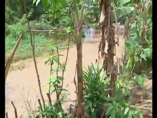 Heavy flooding soaks Cambodia