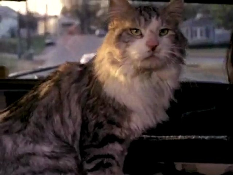 That Darn Cat - Teaser Trailer