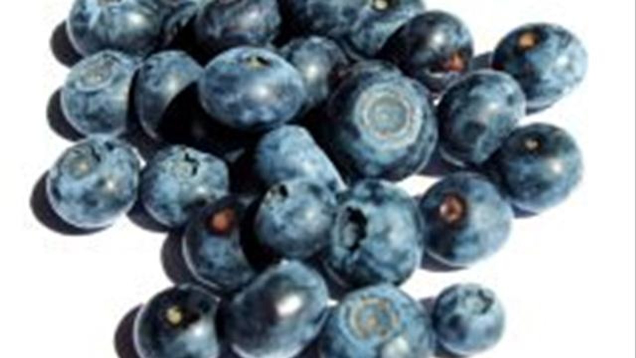 How To Plant Blueberries
