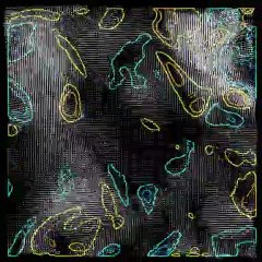 Visualize Fluid Dynamics with Quiv_divcurl PIV by LaVision 🚀