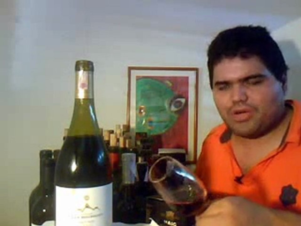 Domaine Jean Bousquet Pinot noir Reserva 2008