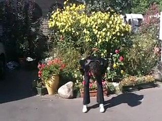 3. ebranler ming men. sylvain dusserm (métode Liu Dong)