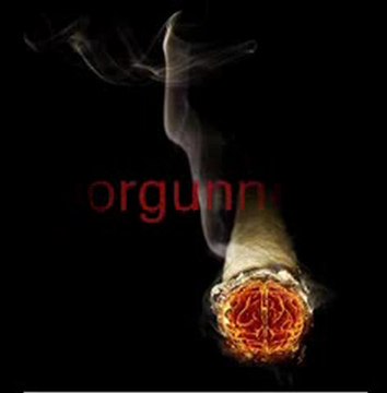 sesli1dunyam.com,Hüseyin Altın - Bir Mecnun Yarattın