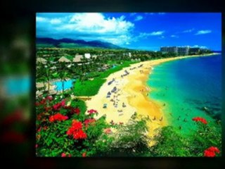 Auto Transport With Weber