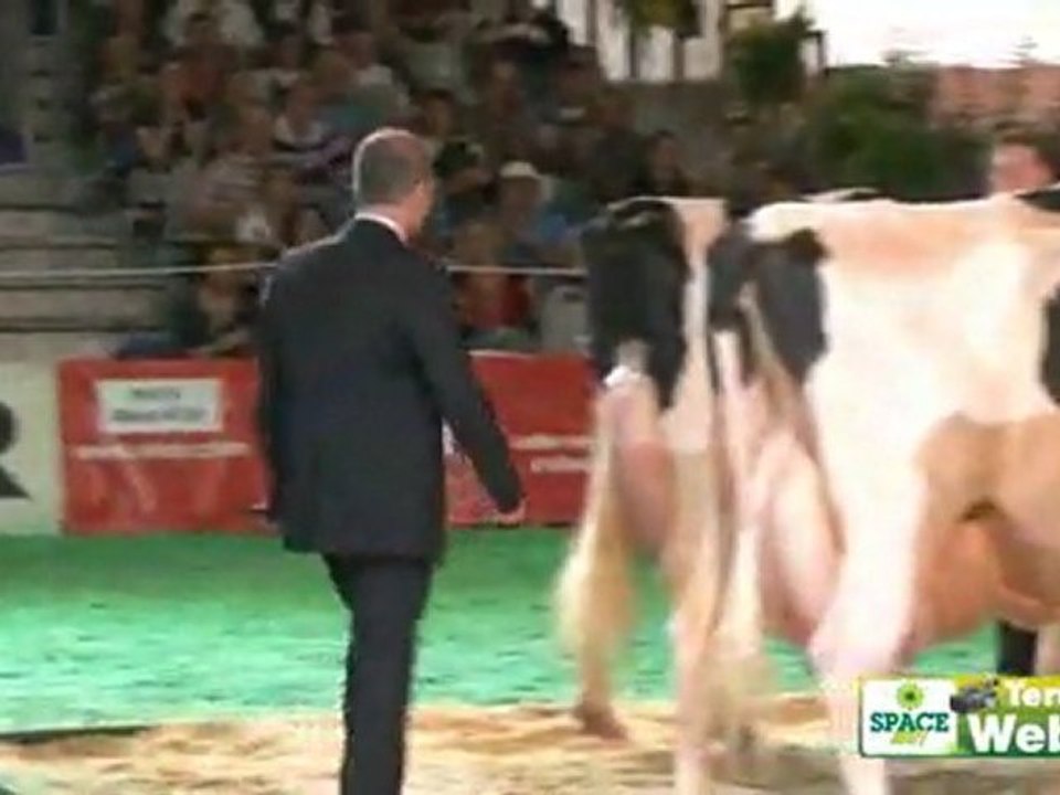 Space 2011 – Première journée du concours Prim'Holstein