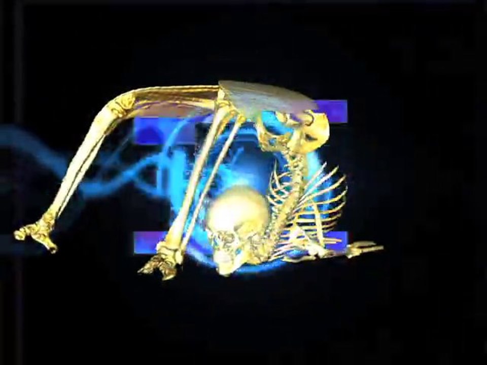 Technoscience (2) • Vj Aurel