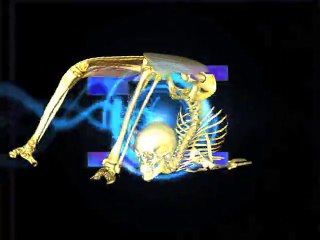Technoscience (2) • Vj Aurel