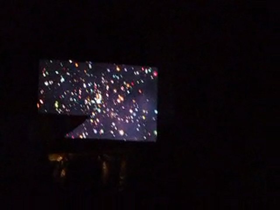 BJORK Bestival 2011.