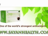 What is Chaga Mushroom? What is Chaga Extract? What does Chaga do? What is chaga benefits?