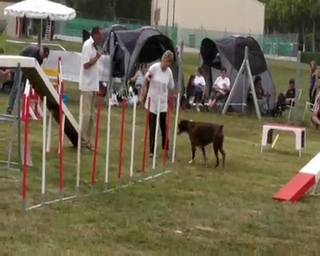 UPSY Mousquetaires 2011