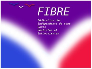 [Gaze 2012] Fondation de la FIBRE