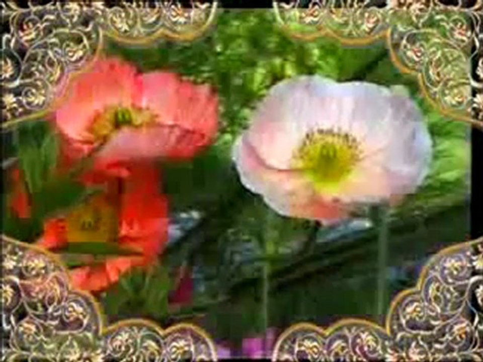 Hz. Musa kıssası: Hz. Musa'nın doğumu ve erginlik çağına ulaşması