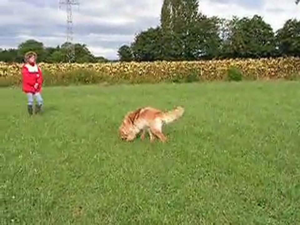 Aïda : travail de l'arrivée