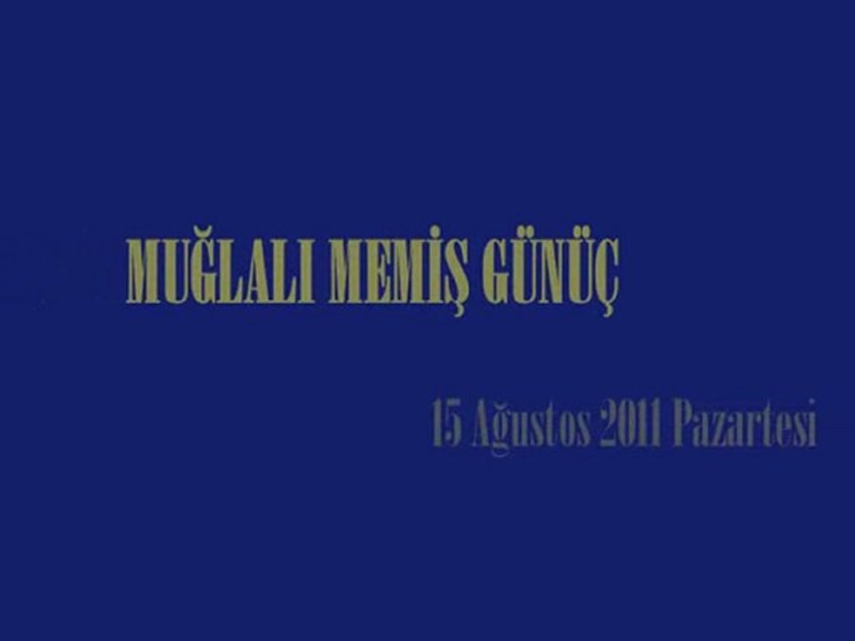 MUĞLALI MEMİŞ GÜNÜÇ-HAM MEYVA