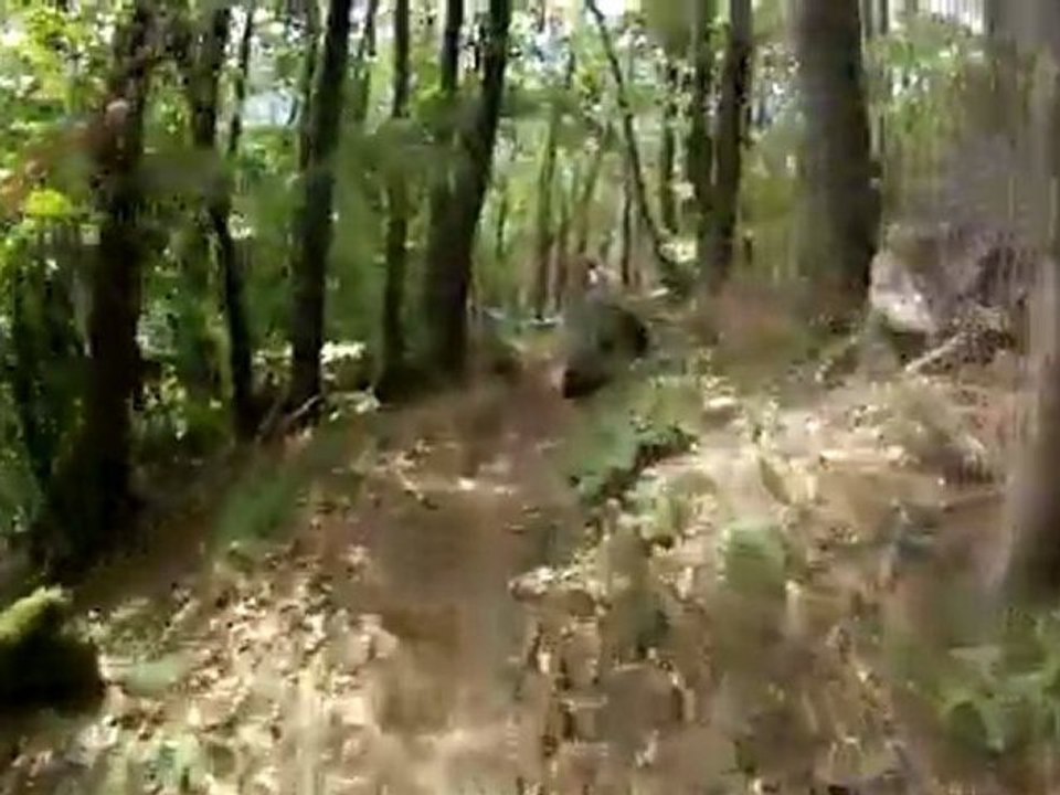 elsass enduro tour 2011 ES4
