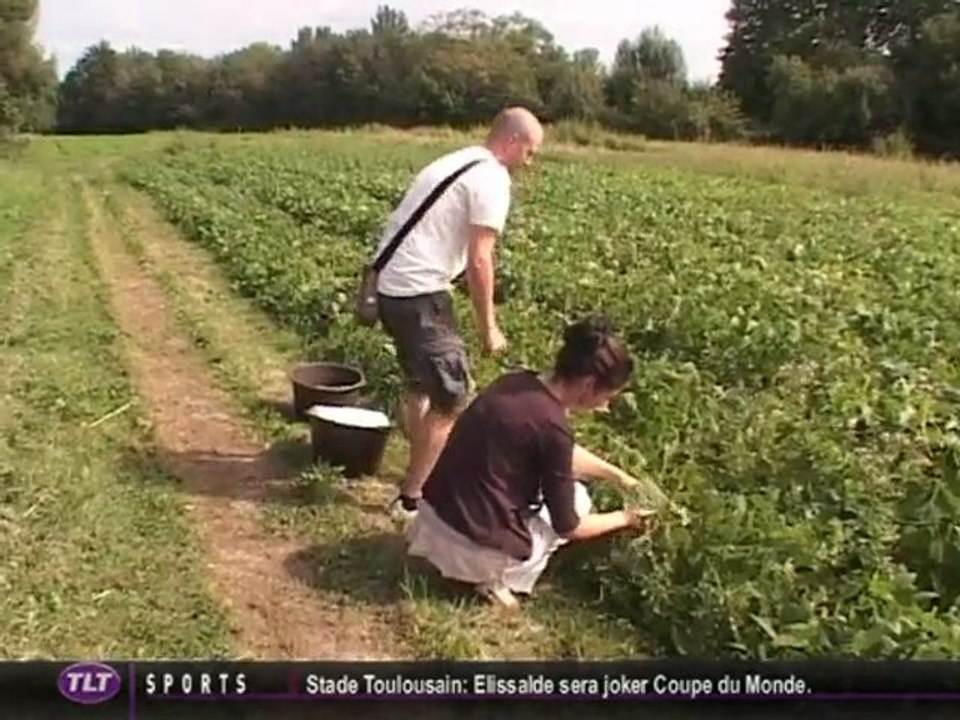 Vente direct: La cueillette à la ferme (Haute Garonne)