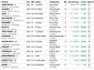15 EYLÜL İZMİR YARIŞ YORUMLARI