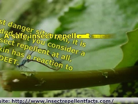 Opting For A DEET Free Insect Repellent