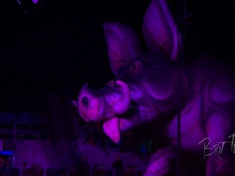 Pigs (Three Different Ones) performed by Brit Floyd - the Pink Floyd tribute show