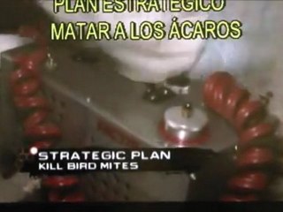 Limpieza, Desinfección y Control de Palomas en Ático