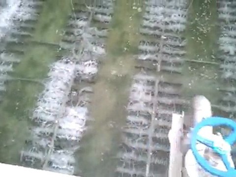 video-2011-09-09-15-49-26 (blower 2 diffuser เต็มบ่อ)