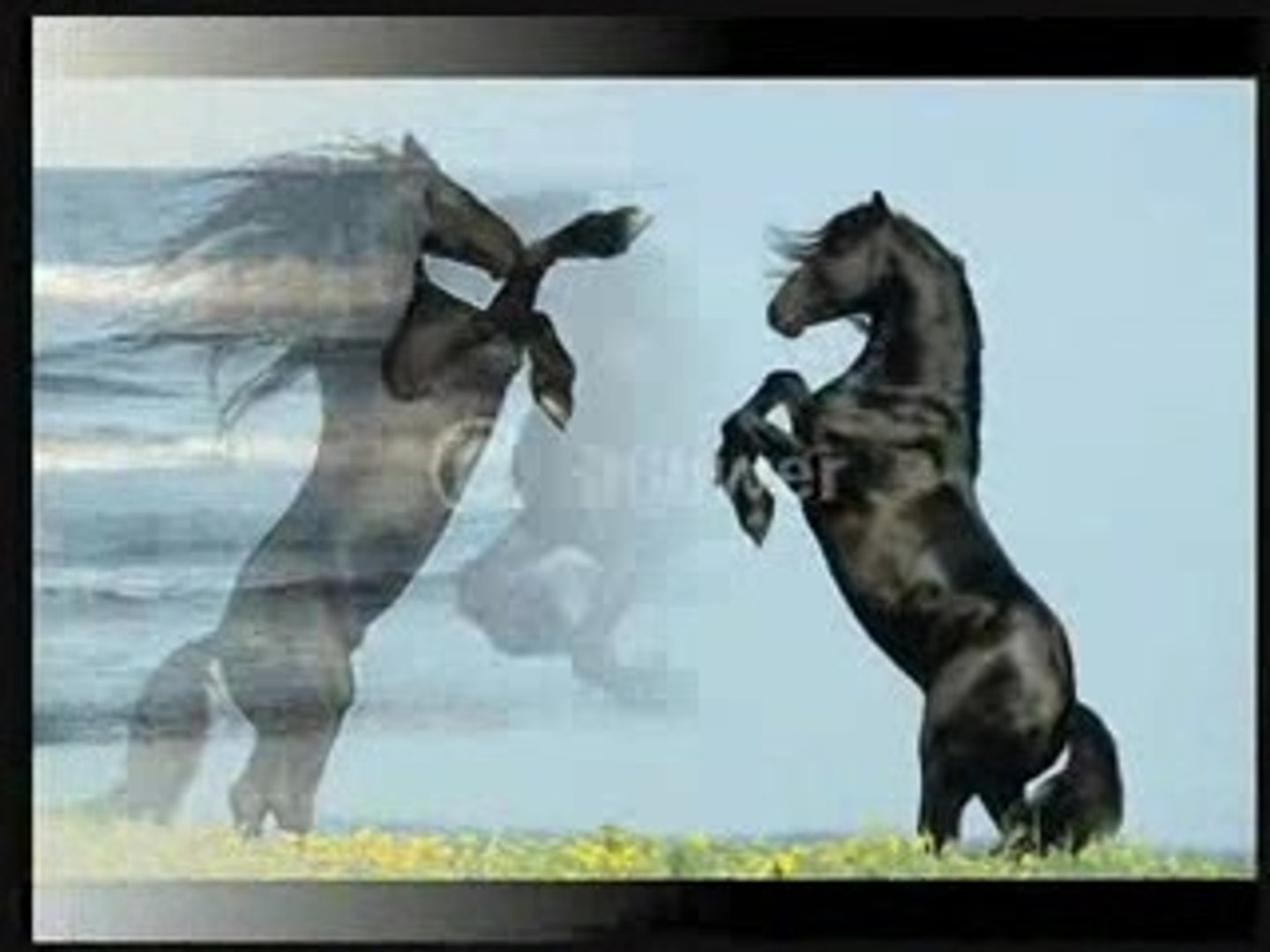 Histoire de frison