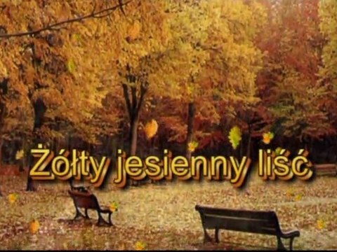 Żółty jesienny liść-Laskowski(instr.)