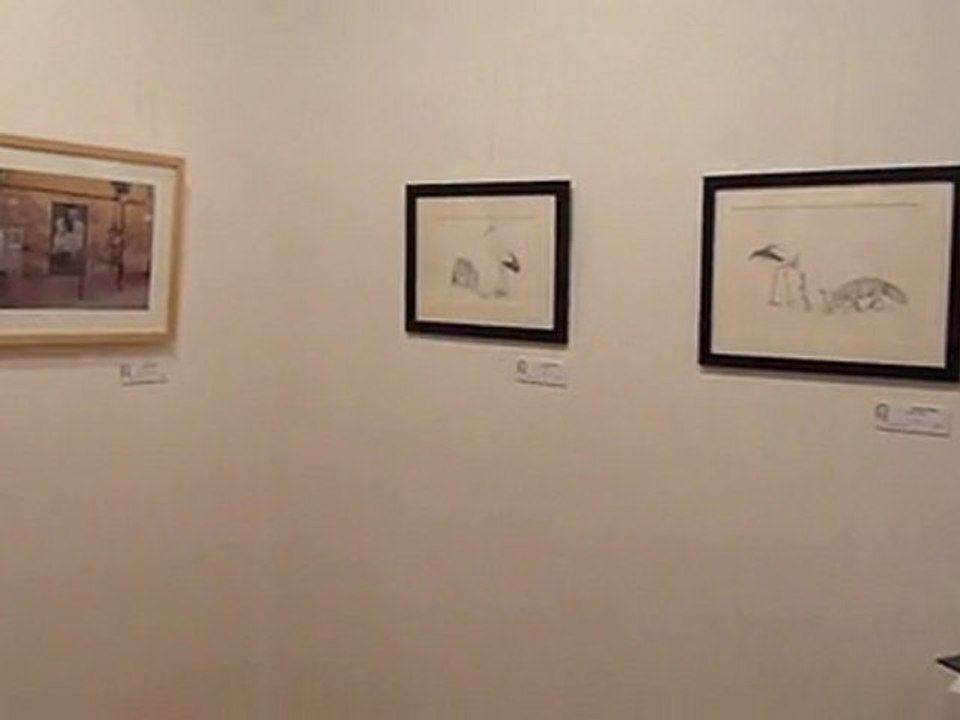 Exposició de Jean Lafontaine a Sant Celoni 5