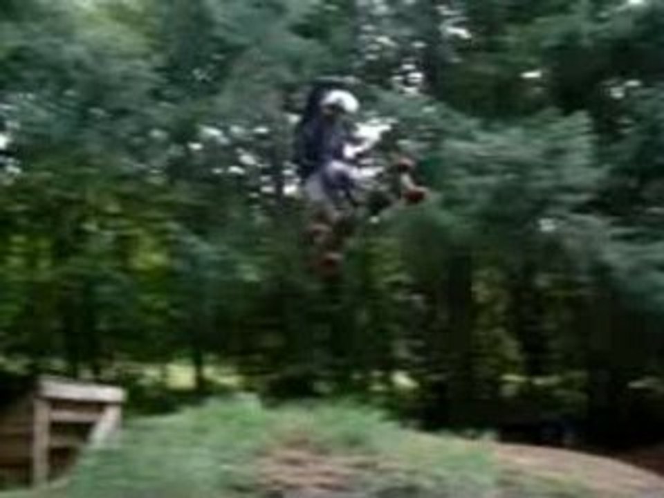 MixLDG2006